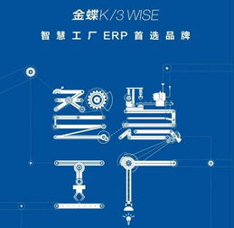 金蝶K/3 Wise企业管理软件 提升企业综合管理效能的利器